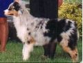 11591.jpg