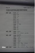 18446.jpg